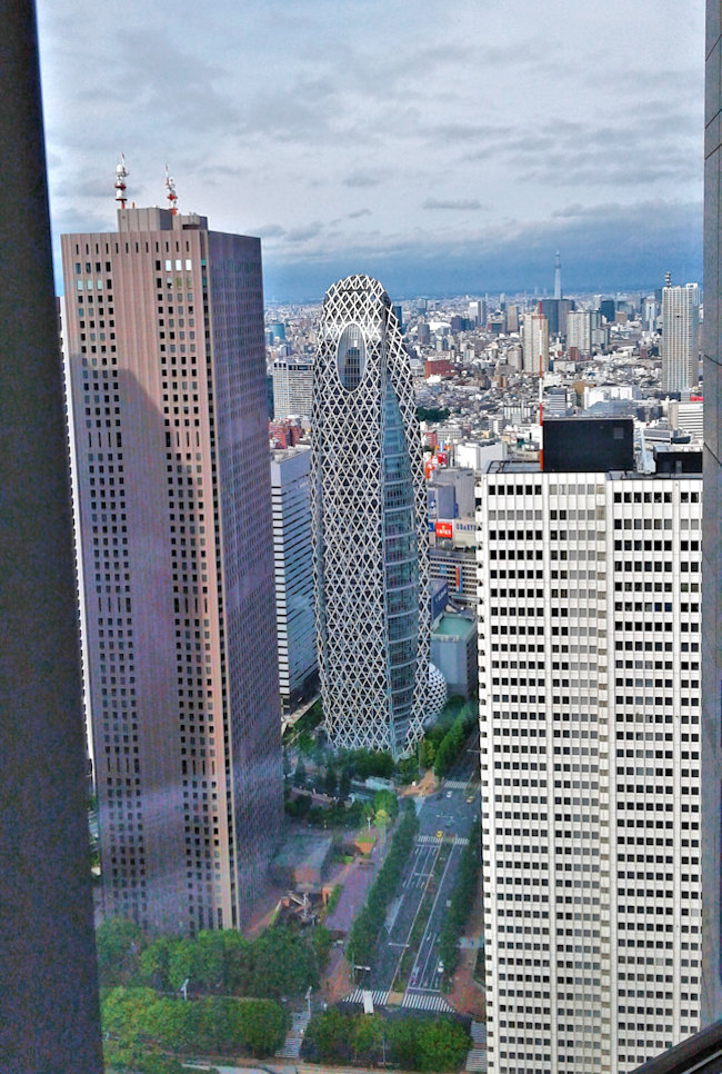  7 Now in Tokyo-went up to 45th floor of Government Bldg Tower No 1 and amongst others took this view of Tokyo.jpg 